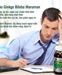 Viên uống bổ não Maruman Ginkgo Biloba nhật bản - 21