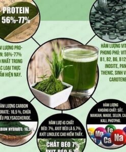 Viên uống tảo xoắn Spirulina Nhật Bản - 26 Viên uống tảo xoắn Spirulina Nhật Bản - 25