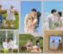 10+ Concept chụp ảnh couple, Giá chụp hình cặp đôi?